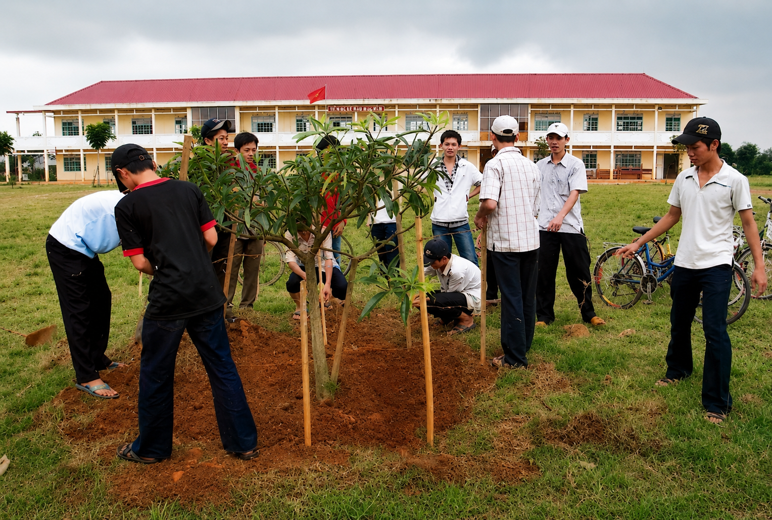 Sân trường xưa